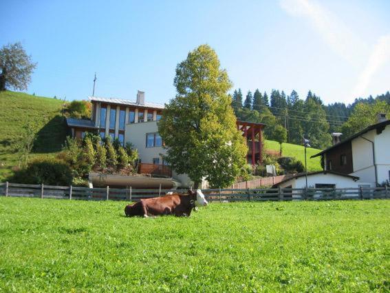Studio 21A Hopfgarten im Brixental Esterno foto